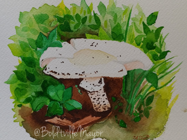 Mushroom