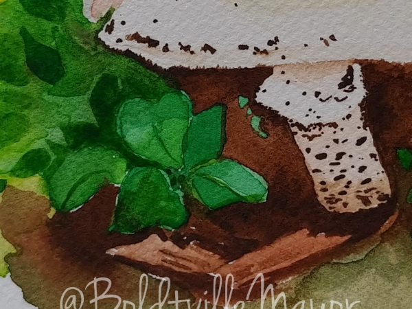 mushroom watercolor painting