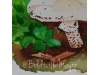 mushroom watercolor painting