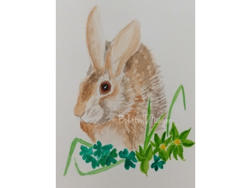 Watercolor Paintings Gallery