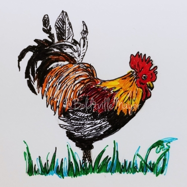 Rooster 1