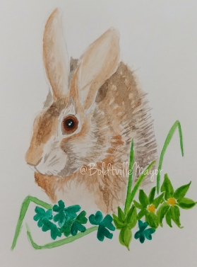 Cottontail in Clover