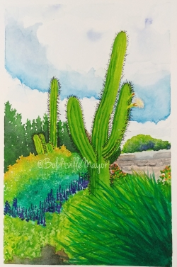 Cacti in the Gardens