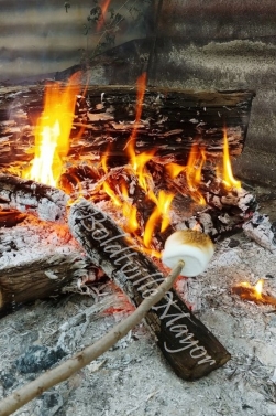 Roasting Marshmallows