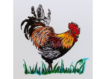 Rooster 1