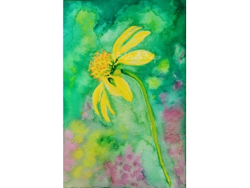 Echinacea Watercolor Painting