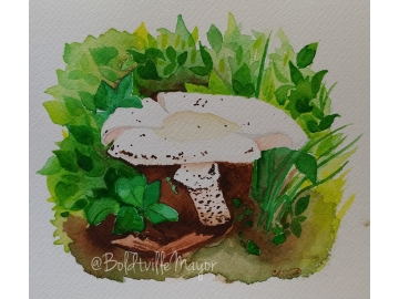 Mushroom Watercolor Painting