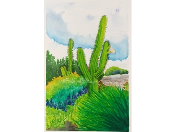 Cacti in the Gardens